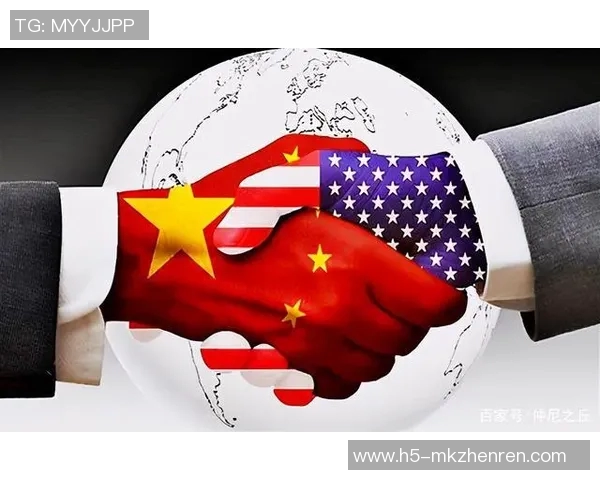 赖斯的外交智慧与全球影响力探析：从历史到未来的深度解读